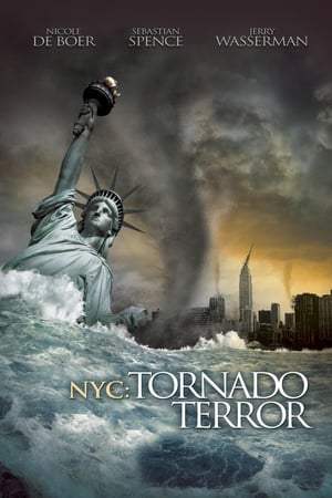 NYC Tornado Terror 2008 Hindi Dual Audio 300MB Movie Poster