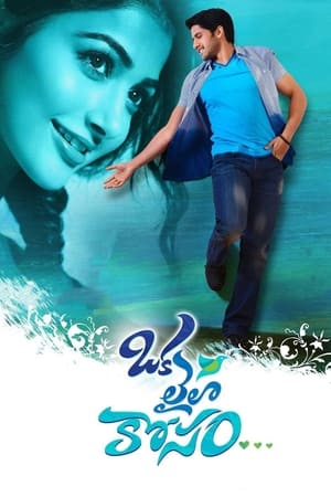 Oka Laila Kosam 2014 (Hindi – Telugu) Dual Audio 500MB Movie Poster