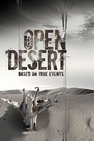 Open Desert (2013) Hindi Dual Audio – Movie Poster