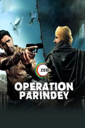 Operation Parindey 2020 Hindi Movie [500MB] Movie Poster