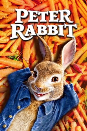Peter Rabbit (2018) Hindi Dual Audio [1.1GB] Movie Poster