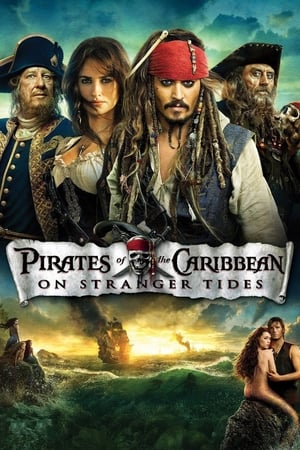 Pirates of the Caribbean On Stranger Tides (2011) 100mb Hindi Dual Audio movie Download Movie Poster
