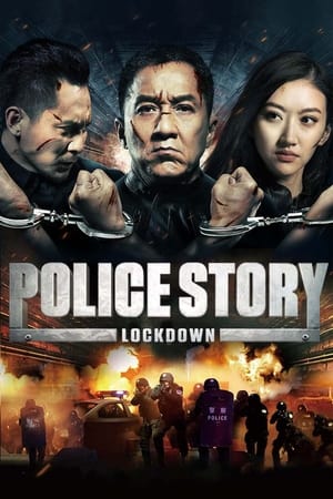 Police Story: Lockdown (2013) Hindi Dual Audio 380MB Movie Poster