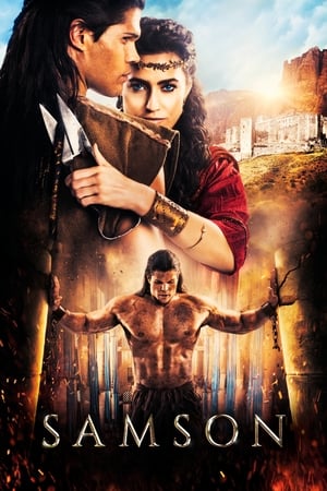 Samson (2018) Hindi Dual Audio – 480p