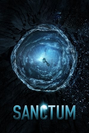 Sanctum (2011) Hindi Dual Audio 300MB Movie Poster