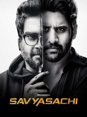 Savyasachi (2018) Hindi Dual Audio 450MB Movie Poster