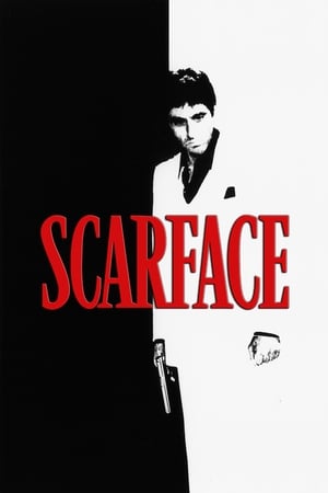 Scarface (1983) Dual Audio Hindi 500MB Movie Poster