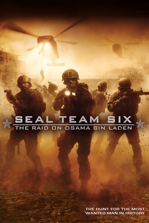 Seal Team Six: The Raid on Osama Bin Laden (2012) Hindi Dual Audio Full Movie - 1.3GB Movie Poster