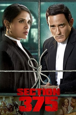 Section 375 (2019) Hindi Movie [980MB] Movie Poster