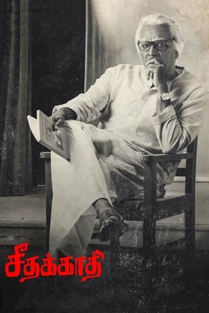 Seethakaathi (2018) Hindi Dubbed [1.1GB] Movie Poster