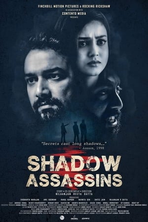 Shadow Assassins 2022 Hindi DVDScr – Movie Poster