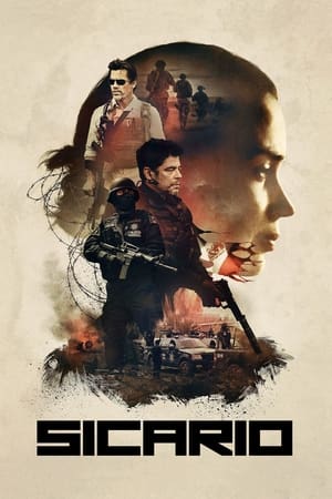 Sicario 2015 Hindi Dual Audio 350MB Movie Poster