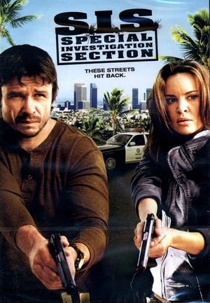SIS Special Investigation Section 2008 Hindi Dual Audio [1.1GB] Movie Poster