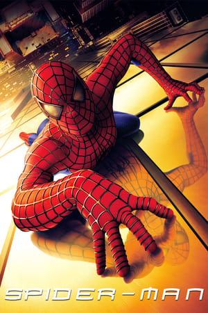 Spider Man 2002 100mb Hindi Dual Audio movie Download Movie Poster