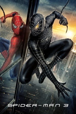 Spider-Man 3 (2007) Hindi Dual Audio 300MB Movie Poster