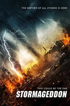 Stormageddon (2015) Hindi Dual Audio 290MB Movie Poster