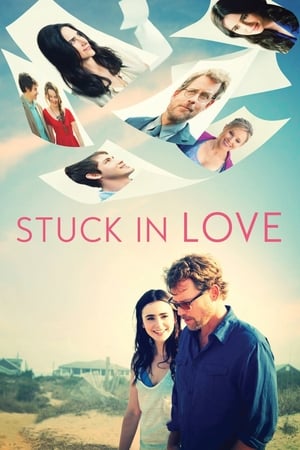 Stuck in Love (2012) Hindi Dual Audio 300MB Movie Poster