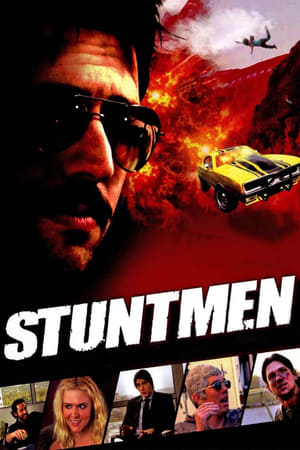 Stuntmen 2009 Hindi Dual Audio [800MB] Movie Poster