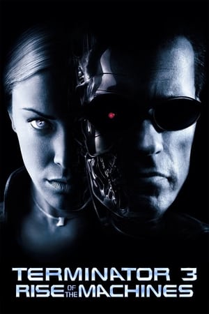 Terminator 3: Rise of the Machines (2003) Hindi Dual Audio [850MB] Movie Poster