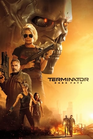 Terminator: Dark Fate (2019) Hindi (Org) Dual Audio [1GB] Movie Poster