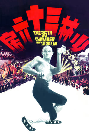 the 36th Chamber of Shaolin 1978 Hindi Dual Audio [1.1GB] Movie Poster