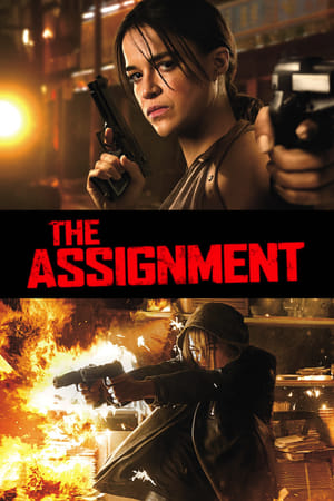 The Assignment (2016) Hindi Dual Audio 300MB Movie Poster