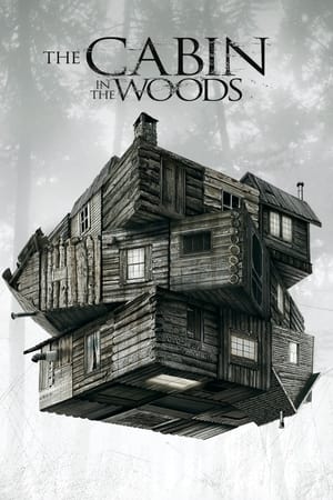The Cabin in the Woods 2012 Dual Audio Hindi [800MB] ESubs Movie Poster