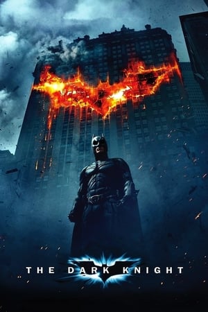 The Dark Knight (2008) Hindi Dual Audio [1.0GB] Download Movie Poster