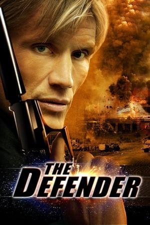 The Defender (2004) Hindi Dual Audio 300MB Movie Poster