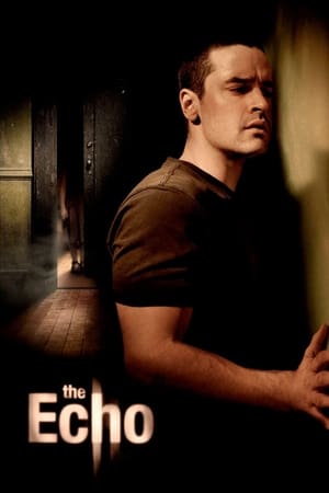 The Echo (2008) Hindi Dual Audio 300MB Movie Poster