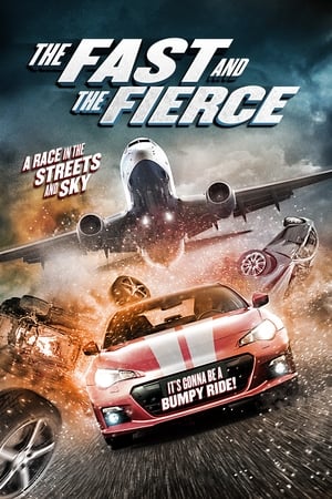 The Fast and the Fierce 2017 Hindi Dual Audio 300MB Movie Poster
