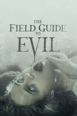 The Field Guide to Evil 2018 Hindi Dual Audio 350MB Movie Poster