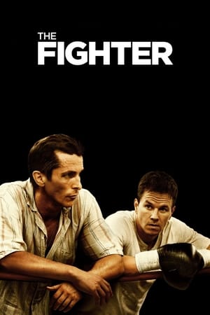 The Fighter (2010) Hindi Dual Audio [700MB] Movie Poster