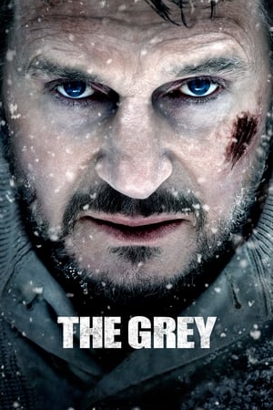 The Grey 2011 Hindi Dual Audio [830MB] Movie Poster