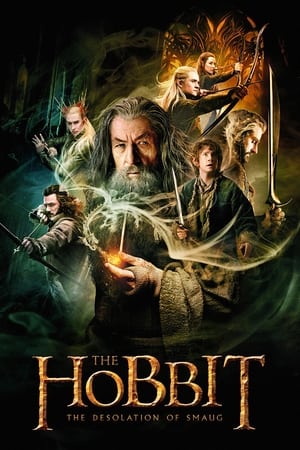 The Hobbit: The Desolation of Smaug (2013) Hindi Dubbed [1.9GB] Download Movie Poster