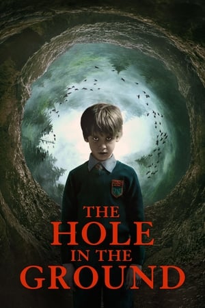 The Hole in the Ground 2019 Hindi Dual Audio 300MB Movie Poster