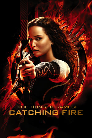 The Hunger Games Catching Fire 2013 Hindi Dual Audio 480MB Movie Poster