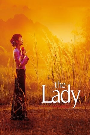 The Lady 2011 Dual Audio Hindi 400MB Movie Poster