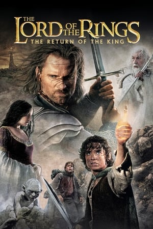 The Lord of the Rings: The Return of the King (2003) Hindi Dubbed [1.8GB] Download Movie Poster