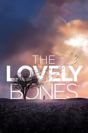 The Lovely Bones (2009) Hindi Dual Audio [1GB] Movie Poster