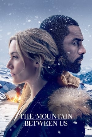 The Mountain Between Us 2017 Dual Audio Hindi [1GB] Movie Poster
