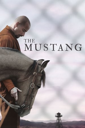 The Mustang (2019) Hindi Dual Audio [900MB] Movie Poster