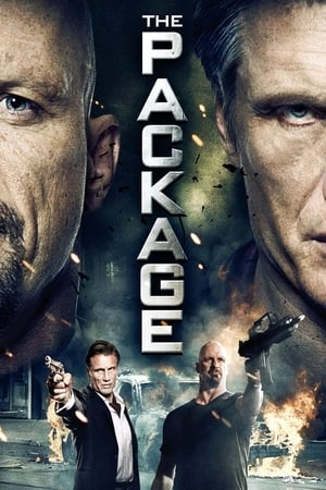 The Package (2013) Hindi Dual Audio [750MB] Movie Poster