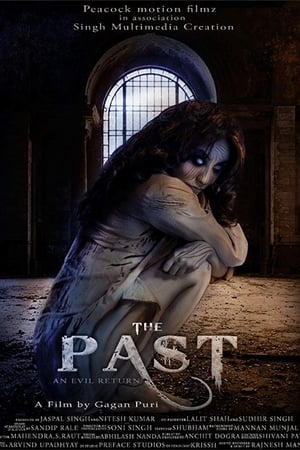 The Past 2018 Hindi Movie [940MB] Movie Poster