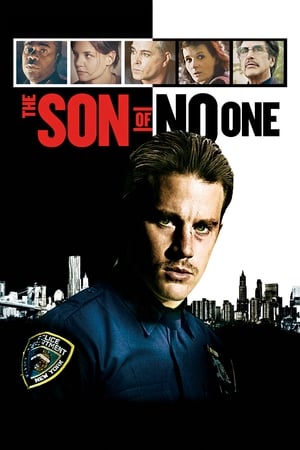 The Son of No One (2011) Hindi Dual Audio [900MB] Movie Poster