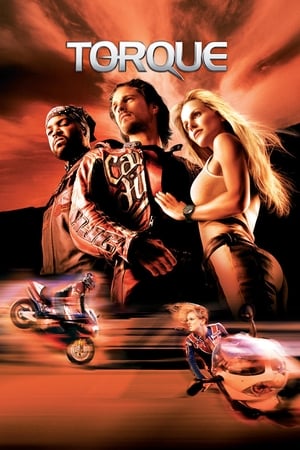 Torque 2004 Hindi Dual Audio [600MB] Download Movie Poster