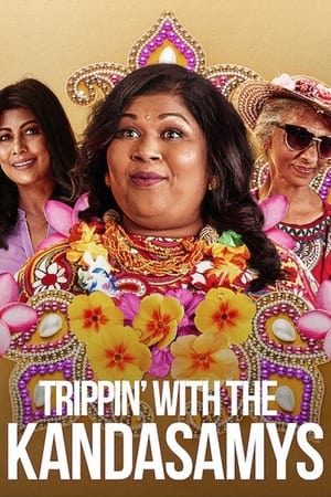 Trippin with the Kandasamys 2021 Hindi Dual Audio 300MB Movie Poster