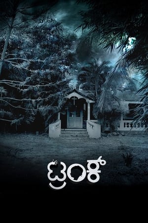 Trunk (2018) (Hindi - Kannada) Dual Audio [1.4GB] Movie Poster