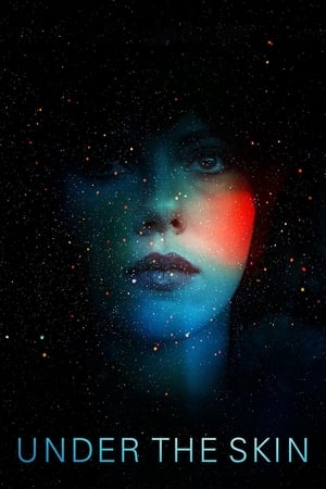 Under the Skin 2013 Hindi Dual Audio [850MB] Movie Poster