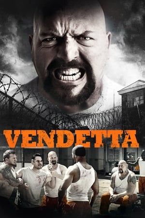 Vendetta 2015 Hindi Dual Audio 300MB Movie Poster